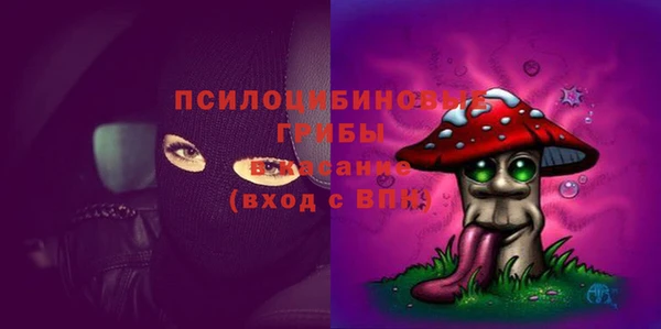 прущие грибы Баксан